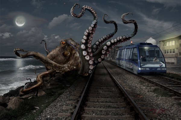 Kraken onion 2024