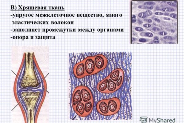 Ссылка на кракен тор kraken014 com